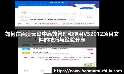 如何在百度云盘中高效管理和使用VS2012项目文件的技巧与经验分享